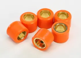 S41000030p016 Athena Scooter Roller Kit 16mm D X 13mm L - 6.0 Grams S41000030p016 Athena Scooter Roller Kit 16mm D X 13mm L - 6.0 Grams
