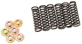 505-42-06031 Barnett Clutch Spring Kit Yamaha Fz1000 R1/ # 505-42-06031 Barnett Clutch Spring Kit Yamaha Fz1000 R1/ #
