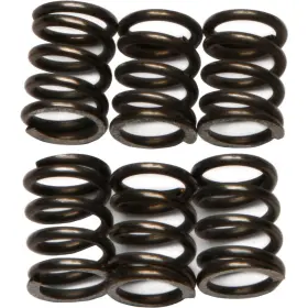 3458-e129494-atv Ebc Csk Clutch Spring Kit For 2003-2013 Suzuki Lt-f250 Ozark Atv 3458-e129494-atv Ebc Csk Clutch Spring Kit For 2003-2013 Suzuki Lt-f250 Ozark Atv
