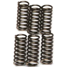 6391-e153360-atv Ebc Csk Clutch Spring Kit For 2008-2009 Ktm 450 Xc Atv 6391-e153360-atv Ebc Csk Clutch Spring Kit For 2008-2009 Ktm 450 Xc Atv