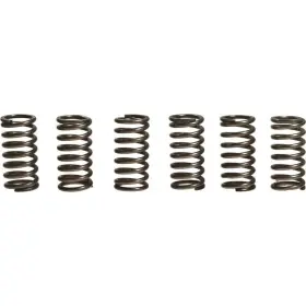 6396-e153370-atv Ebc Csk Clutch Spring Kit For 2009-2010 Ktm 505sx Atv 6396-e153370-atv Ebc Csk Clutch Spring Kit For 2009-2010 Ktm 505sx Atv