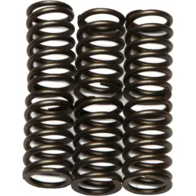 7054-e262686-atv Ebc Csk Clutch Spring Kit For 1998-2002 Arctic Cat 400 2x4 Atv 7054-e262686-atv Ebc Csk Clutch Spring Kit For 1998-2002 Arctic Cat 400 2x4 Atv