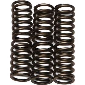 Ebc 7055-e262688-atv Csk Clutch Spring Kit For 1998-2002 Arctic Cat 400 4x4 Atv