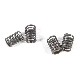 7508-e479594-atv Ebc Csk Clutch Spring Kit For 1987-1993 Suzuki Lt230e Quadrunner Atv 7508-e479594-atv Ebc Csk Clutch Spring Kit For 1987-1993 Suzuki Lt230e Quadrunner Atv