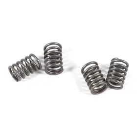 7514-e479606-atv Ebc Csk Clutch Spring Kit For 2000-2006 Honda Trx350fe Fourtrax Rancher 4x4 Es 7514-e479606-atv Ebc Csk Clutch Spring Kit For 2000-2006 Honda Trx350fe Fourtrax Rancher 4x4 Es