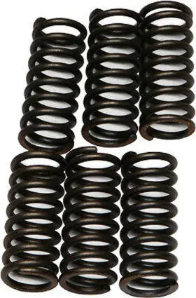 Csk45 Ebc Csk 45 Clutch Springs Kit Fits Honda See Description For Model Fitment Csk45 Ebc Csk 45 Clutch Springs Kit Fits Honda See Description For Model Fitment