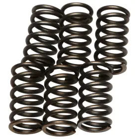 Csk10ff76-75a078 Ebc Clutch Spring Set For Kawasaki Ninja 650r 2006-2016 Csk10ff76-75a078 Ebc Clutch Spring Set For Kawasaki Ninja 650r 2006-2016