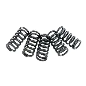 Csk121 Ebc Clutch Spring Set Csk121 Ebc Clutch Spring Set