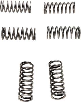 Ebc Csk198 Clutch Springs - 6 Pcs