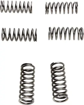 Csk198 Ebc Clutch Springs - 6 Pcs Csk198 Ebc Clutch Springs - 6 Pcs
