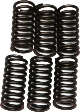 M-010 Ebc Csk24 Csk Clutch Spring Kit For Ktm 125 Sx 1998-2007