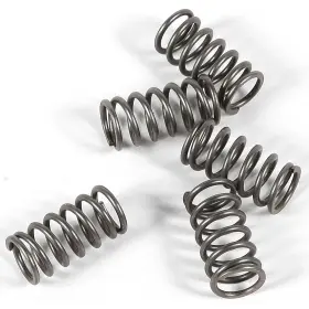 Ebc-1221-355789 Ebc Csk Clutch Spring Kit Kawasaki Klf 220 Bayou Sra Atv 1988 Ebc-1221-355789 Ebc Csk Clutch Spring Kit Kawasaki Klf 220 Bayou Sra Atv 1988