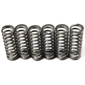 Ebc-1221-355801 Ebc Csk Clutch Spring Kit Suzuki Rmx 450z Motorcycle 2010 Ebc-1221-355801 Ebc Csk Clutch Spring Kit Suzuki Rmx 450z Motorcycle 2010