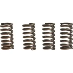 Ebc-1221-355809 Ebc Csk Clutch Spring Kit Honda Cb750 Nighthawk Motorcycle 1991-2003 Ebc-1221-355809 Ebc Csk Clutch Spring Kit Honda Cb750 Nighthawk Motorcycle 1991-2003