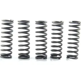 Ebc-1221-355849 Ebc Csk Clutch Spring Kit Kawasaki Zx 1400 Ninja Zx-14r Motorcycle 2008-2008
