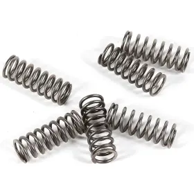 Ebc-1221-355881 Ebc Csk Clutch Spring Kit Suzuki Dl 650 V-strom Adventure Abs 2013-2015
