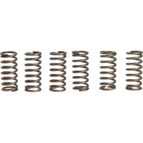Ebc-1221-355896 Ebc Csk Clutch Spring Kit Triumph Daytona 675 Motorcycle 2006-2009 Ebc-1221-355896 Ebc Csk Clutch Spring Kit Triumph Daytona 675 Motorcycle 2006-2009