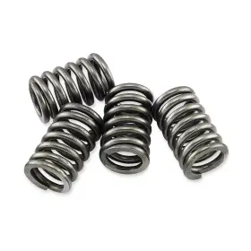Ebc-1221-355950 Ebc Csk Clutch Spring Kit Ktm 450 Exc-r Motorcycle 2011 Ebc-1221-355950 Ebc Csk Clutch Spring Kit Ktm 450 Exc-r Motorcycle 2011