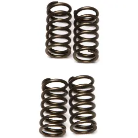 Ebc-1221-355955 Ebc Csk Clutch Spring Kit Kawasaki Klx140 Motorcycle 2011-2017 Ebc-1221-355955 Ebc Csk Clutch Spring Kit Kawasaki Klx140 Motorcycle 2011-2017