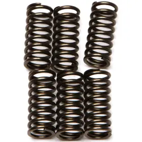 Ebc-1221-355960 Ebc Csk Clutch Spring Kit Kawasaki Klx250s Motorcycle 2009-2010