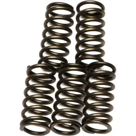 Ebc-1221-356061 Ebc Csk Clutch Spring Kit Honda Crf250x Motorcycle 2004-2009 Ebc-1221-356061 Ebc Csk Clutch Spring Kit Honda Crf250x Motorcycle 2004-2009