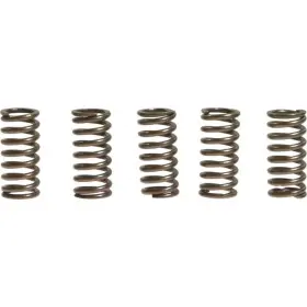 Ebc-1221-356087 Ebc Csk Clutch Spring Kit Yamaha Fzr 400 Motorcycle 1988-1990 Ebc-1221-356087 Ebc Csk Clutch Spring Kit Yamaha Fzr 400 Motorcycle 1988-1990