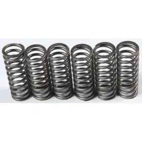 Ebc-1221-356133 Ebc Csk Clutch Spring Kit Honda Crf450r Motorcycle 2013-2016 Ebc-1221-356133 Ebc Csk Clutch Spring Kit Honda Crf450r Motorcycle 2013-2016