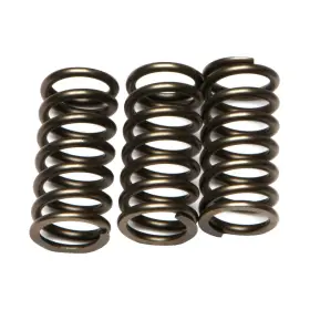 Ebc-1221-356135 Ebc Csk Clutch Spring Kit Kawasaki Ex 300f Ninja 300 Motorcycle 2013-2016 Ebc-1221-356135 Ebc Csk Clutch Spring Kit Kawasaki Ex 300f Ninja 300 Motorcycle 2013-2016
