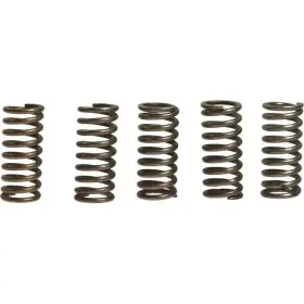 Ebc-1221-356303 Ebc Csk Clutch Spring Kit Honda Xr400r Motorcycle 1997-2004