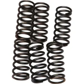 Ebc-1221-356369 Ebc Csk Clutch Spring Kit Kawasaki Zr-7 Motorcycle 2000 Ebc-1221-356369 Ebc Csk Clutch Spring Kit Kawasaki Zr-7 Motorcycle 2000