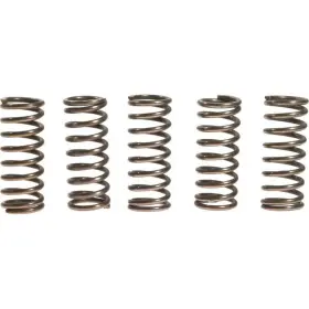 Ebc-1221-356741 Ebc Csk Clutch Spring Kit Honda Cbr1100xx Super Blackbird Motorcycle 1997-1998 Ebc-1221-356741 Ebc Csk Clutch Spring Kit Honda Cbr1100xx Super Blackbird Motorcycle 1997-1998