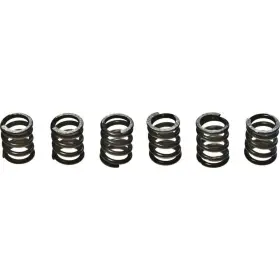 Ebc-1221-356742 Ebc Csk Clutch Spring Kit Suzuki Tl1000r Motorcycle 1998-2003 Ebc-1221-356742 Ebc Csk Clutch Spring Kit Suzuki Tl1000r Motorcycle 1998-2003