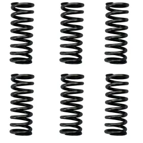 Fs-1208sc Factory Spec 6 Heavy Duty Clutch Springs For Honda Crf450r Fits 2002-2003 And 2006-2008 Models