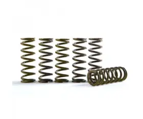 Cs755-6-0116 Hinson Clutch