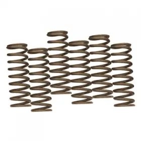 Cs189-6-0613 Hinson Hi-temp Clutch Spring Kit Cs189-6-0613 Hinson Hi-temp Clutch Spring Kit