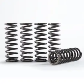 Cs641-6-1901 Hinson Racing High Temp Clutch Spring Kit For Yamaha Yz250f 4-stroke 2019-2020 Cs641-6-1901 Hinson Racing High Temp Clutch Spring Kit For Yamaha Yz250f 4-stroke 2019-2020