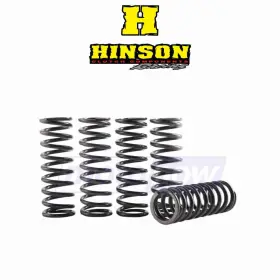 00hw Hinson Racing Mn/00hw Hi-temp Clutch Spring Kit For 2018-2019 Honda Crf250r - Engine Ge