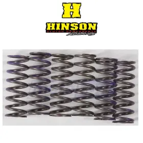 0a76 Hinson Racing Mn/0a76 Hi-temp Clutch Spring Kit For 2005-2020 Honda Crf450x - Engine Wf 0a76 Hinson Racing Mn/0a76 Hi-temp Clutch Spring Kit For 2005-2020 Honda Crf450x - Engine Wf