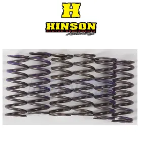 71mf Hinson Racing Mn/71mf Hi-temp Clutch Spring Kit For 2017-2021 Honda Crf450r - Engine Pw