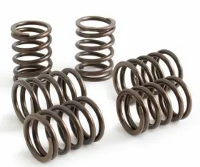 Ft623001 Koso North America Clutch Spring Set