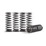 Hinson Hi-temp Clutch Kit 5 Springs CS130-6-8602 New. Price: $72.44.