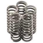 Ebc Brakes Clutch Springs CSK247 New. Price: $27.65.
