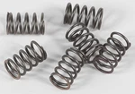 Ebc Clutch Spring Kit CSK18 New. Price: $12.94.