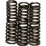 Ebc Csk Clutch Spring Kit For 1998-2002 Arctic Cat 500 4X4 Atv New. Price: $28.84.