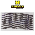 Hinson Hi-temp Clutch Spring Kit For 2019-2021 Honda CRF450RWE Engine Zv New. Price: $85.19.