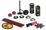 13-18 Ktm 450 Xc-f Sx-f Husky Kibblewhite Titanium Springs Intake Valves Kit New. Price: $168.88.