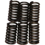 Ebc Brakes Clutch Springs CSK41 New. Price: $18.30.