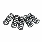 Ebc Clutch Spring Set New. Price: $16.40.
