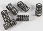 Ebc Clutch Spring Kit CSK31 New. Price: $12.94.