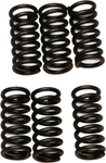 Ebc Clutch Spring Kit CSK2 New. Price: $12.33.
